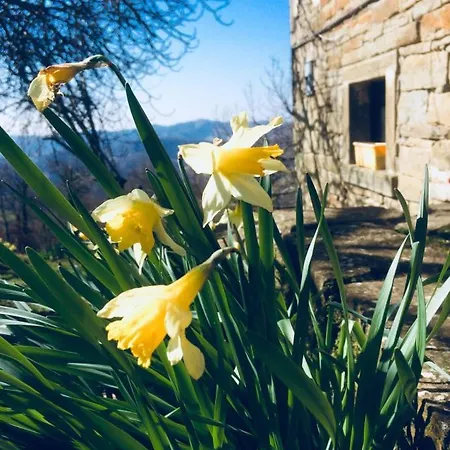 Country house Alpaca Mundi Farm Pianello (Marche)