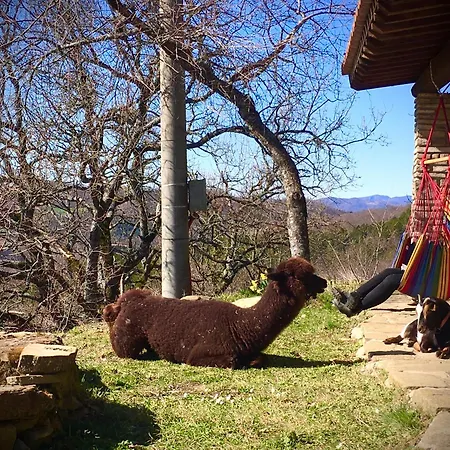 Landhuis Alpaca Mundi Farm